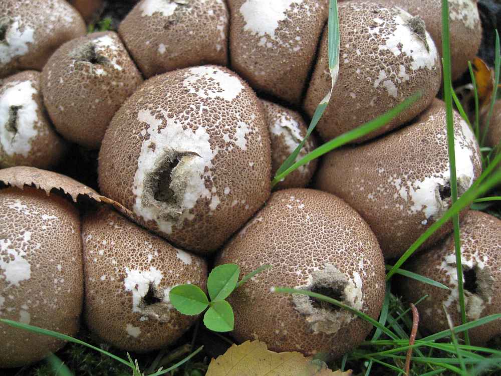 [image]
