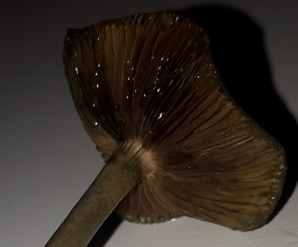 [image]